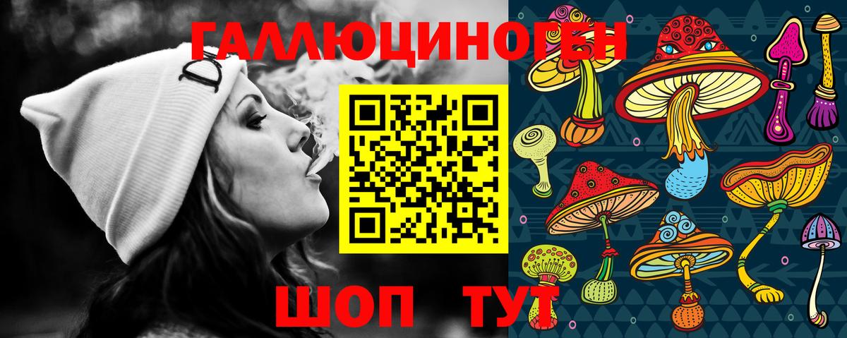 Сунжа  Псилоцибиновые грибы Psilocybe  Вход с VPN 